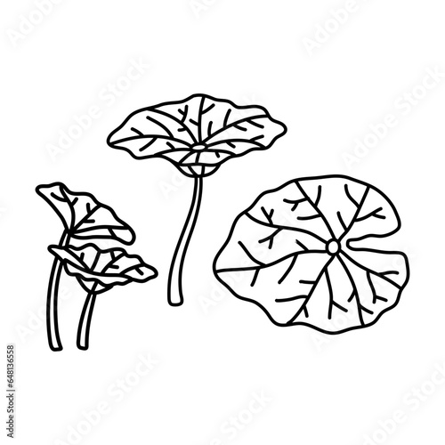 Hand drawn set illustrations of mint leaves isolated on white background