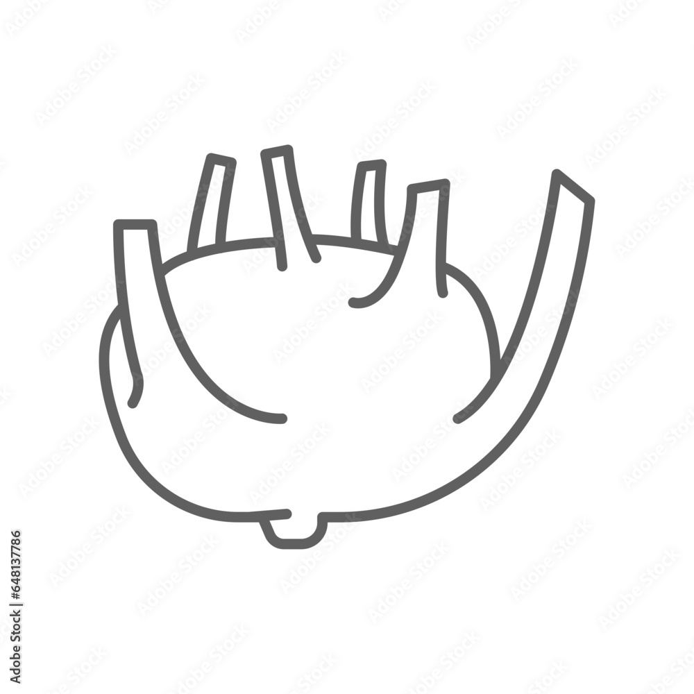 Fototapeta premium kohlrabi icon. fresh nature organic vegetable food. biennial vegetable stout cultivar of raw root Cabbage turnip outline style editable stroke vector illustration design on white background