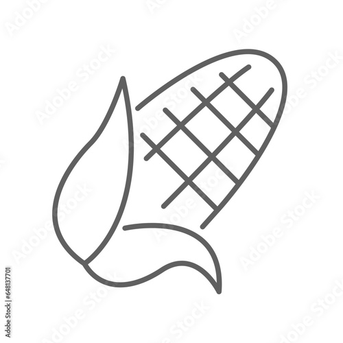 corn cobs icon. nature vegetable food. Vegetarian, vegan, harvest for topics like food, healthy eating, dieting. editable stroke. vector illustration. design on white background.