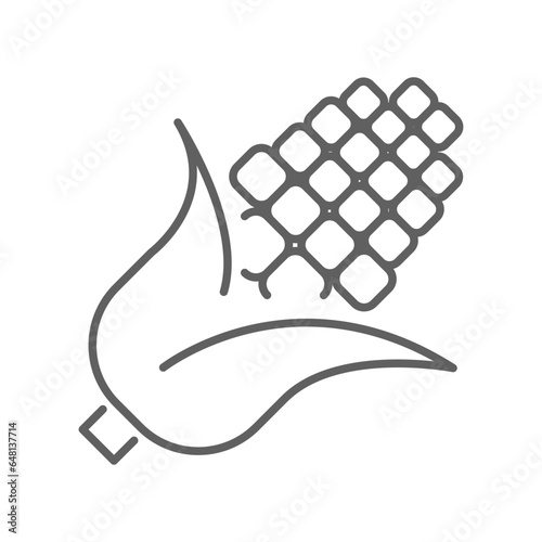 corn cobs icon. nature vegetable food. Vegetarian, vegan, harvest for topics like food, healthy eating, dieting. editable stroke. vector illustration. design on white background.