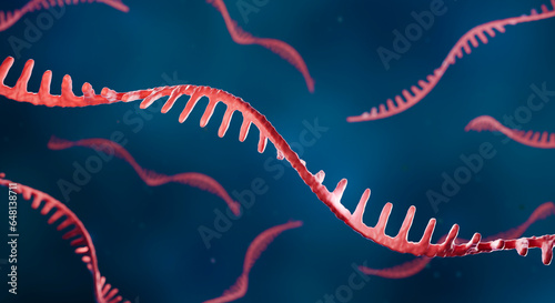 RNA illustration