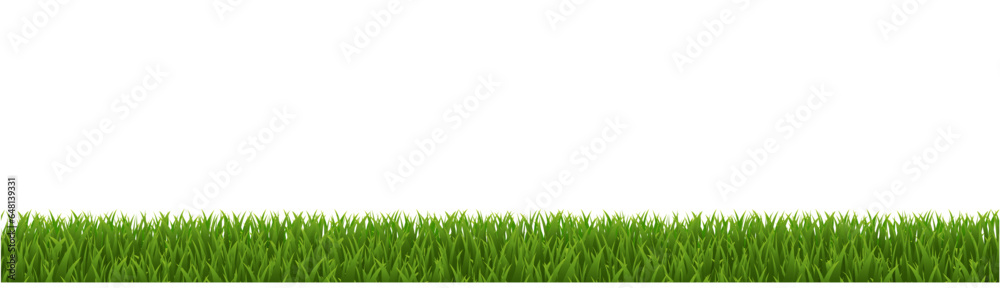 Obraz premium green grass background
