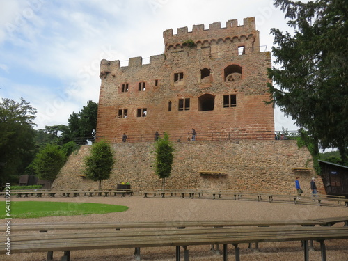 Château de Kintzheim, La Volerie des Aigles, Kintzheim, Haut-Rhin, Alsace, France, 