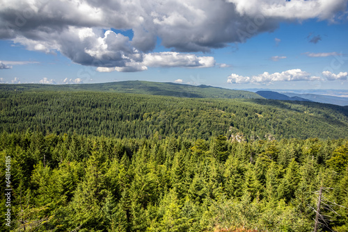 Bild auf Leinwand View of endless spruce forests of Jizera Mountains from mountain viewpoint