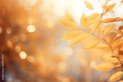 Colorful natural autumn background with orange leaves and blurred bokeh lights