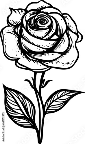 rose flower cartoon