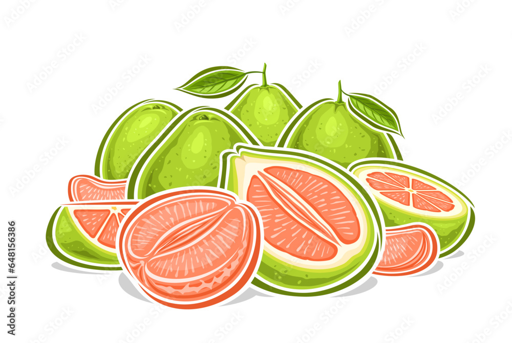 Vector logo for Green Pomelos, decorative horizontal poster with