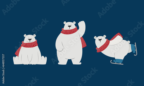 Winter picture. Polar bear in different poses