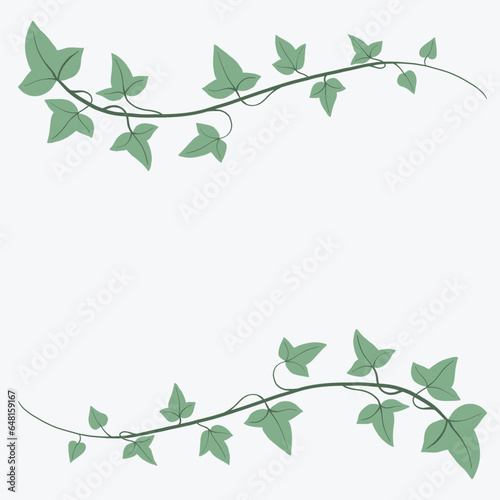 Floral ivy drawing decorative ornament flat design.