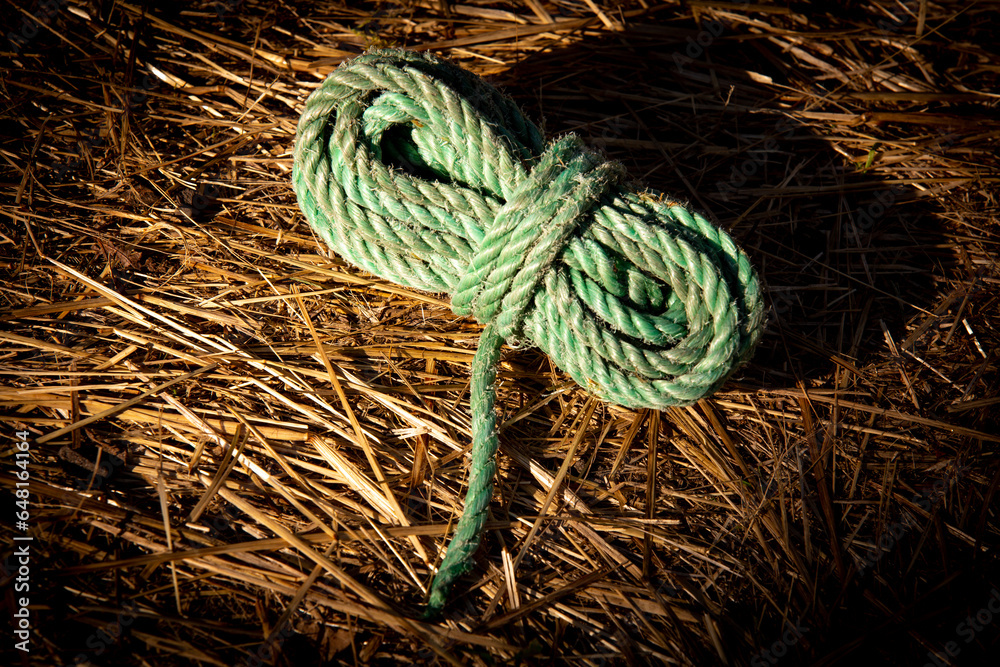 green rope on dry grass