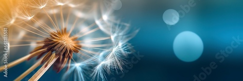 Abstract blurred nature background dandelion seeds parachute. Bokeh pattern.