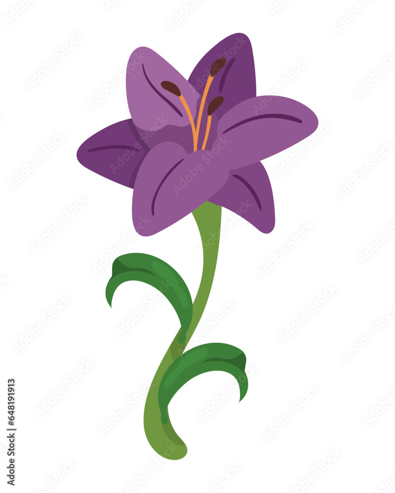 Flower hibiscus icon isolated