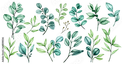 watercolor drawing, set of transparent eucalyptus leaves, bouquets of tropical green leaves on a white background