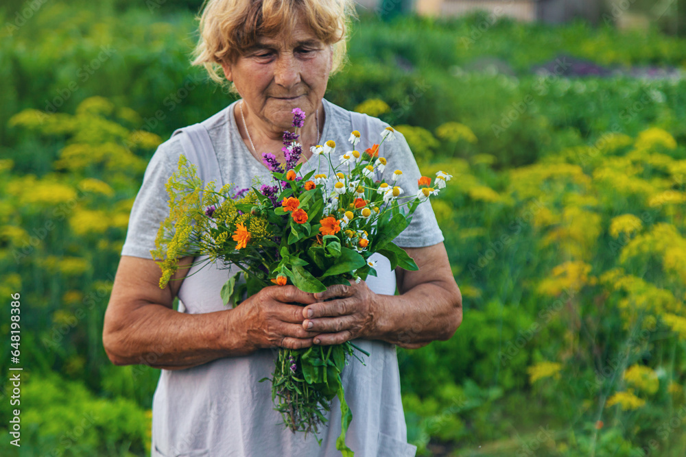 An old woman holds medicinal herbs and flowers in her hands. Selective focus. An old woman holds medicinal herbs and flowers in her hands. Selective focus.