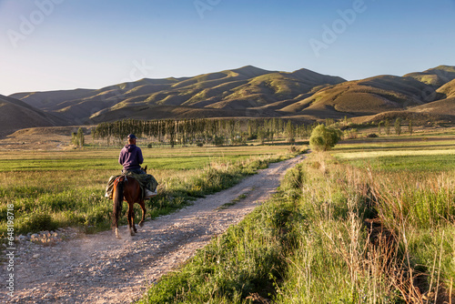horse and nomadic rider on the road in Kyrgyzstan