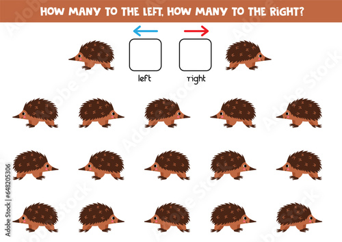 Left or right with cute cartoon echidna. Educational game to learn left and right.