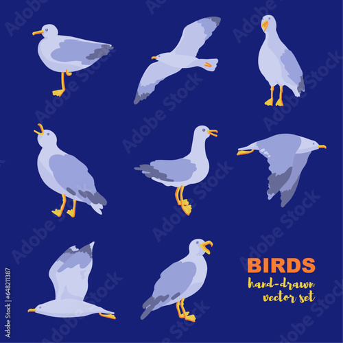 Hand-drawn vector set of seagulls. Atlantic seabird in a flat style. Seagulls in different poses.
