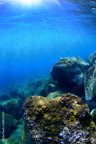 Paisaje submarino, fondo del mar