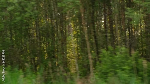 View through side window of car auto in motion on road. Highway along green forest and trees in summer. Tourism and travel, journey trip concept. Beautiful nature and landscape. Car speeding on road.	