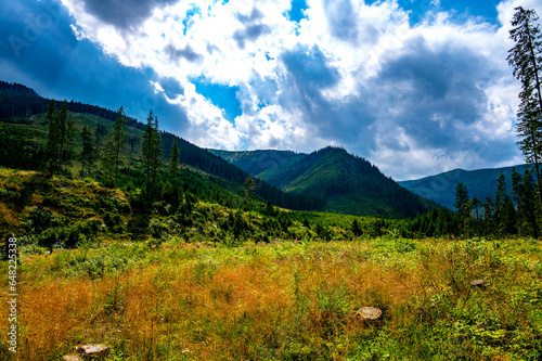 Dolina Chocholowska. Tatry.   photo .Wojciech Fondalinski photo