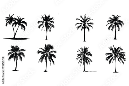 Palm trees on the beach, palm trees silhouettes set of palm trees vector silhouette