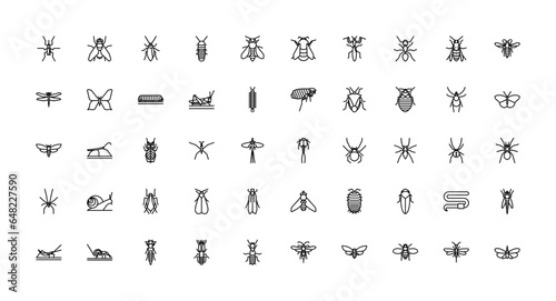 Fototapeta Naklejka Na Ścianę i Meble -  insect icons