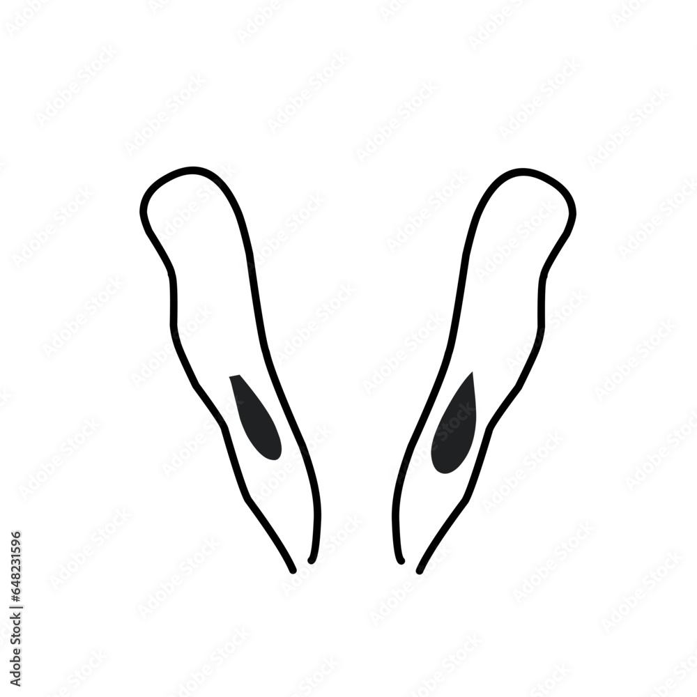 Outline Draw Rabbit Ears Outline Draw Rabbit Ears