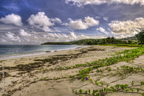 Cumulus Clouds Over Dickenson Bay; St. John's, Antigua, West Indies photo