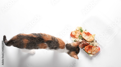 Small kitten examines salad on white background. Top view