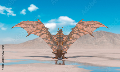 dragon is standing up and ready to attack on the desert after rain rear view © DM7
