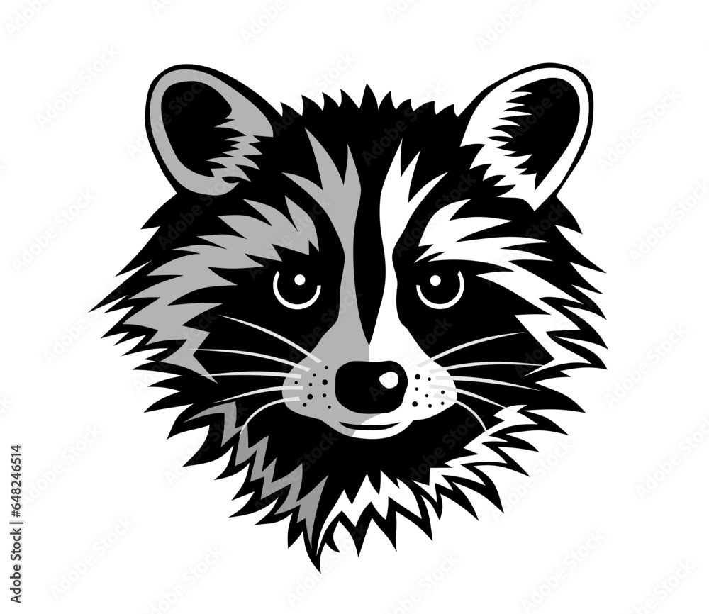 Racoon Racoon
