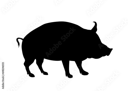 Pig