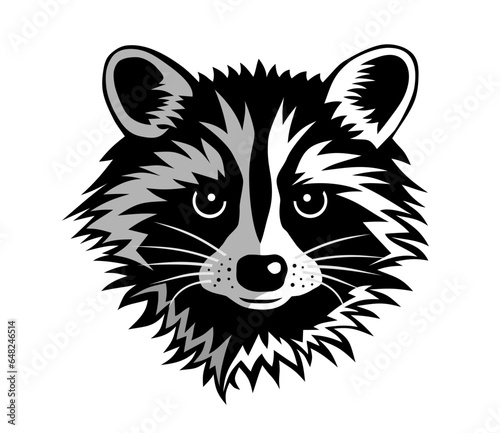 Racoon