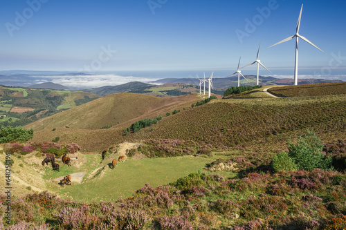 Picturesque landscape featured a group of towering windmills and wild Asturcon horses, Asturias, Spain photo