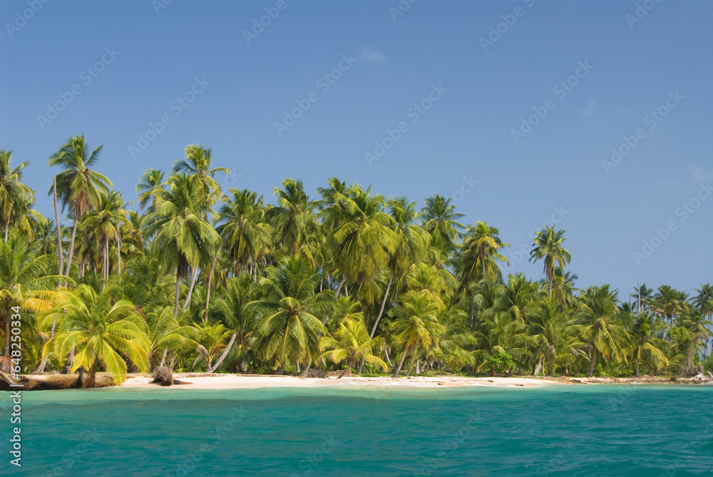 Palm trees along the green water with blue sky; Diadup island san blas islands panama Palm trees along the green water with blue sky; Diadup island san blas islands panama