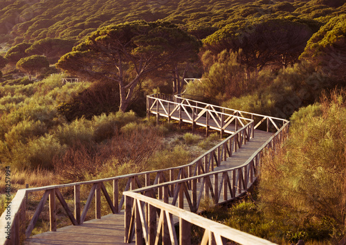Wooden pathway; Bolonia tarifa costa de la luz cadiz andalusia spain