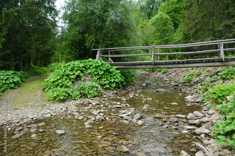 Góry Gorce - mostek nad strumieniem
