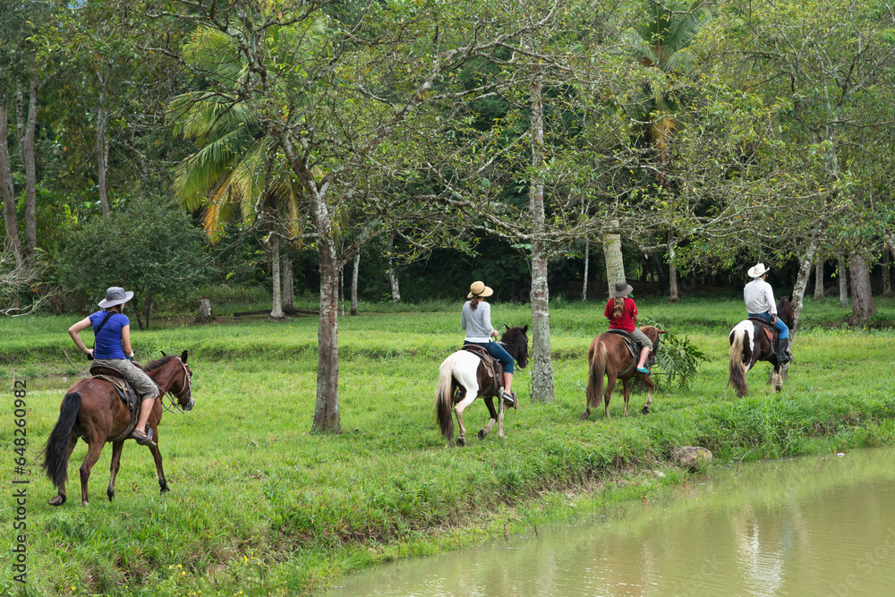 A Family Horseback Riding On A Trail Along The Water's Edge; Finca El Cisne, Honduras A Family Horseback Riding On A Trail Along The Water's Edge; Finca El Cisne, Honduras