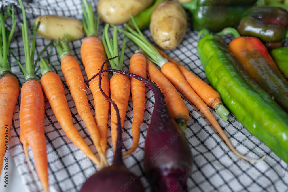 Close-up of freshly picked vegetables. Organic vegetebles on a table: zucchini, beets, peppers, potatoes, carrots on a towel to dry. Autumn harvest Close-up of freshly picked vegetables. Organic vegetebles on a table: zucchini, beets, peppers, potatoes, carrots on a towel to dry. Autumn harvest