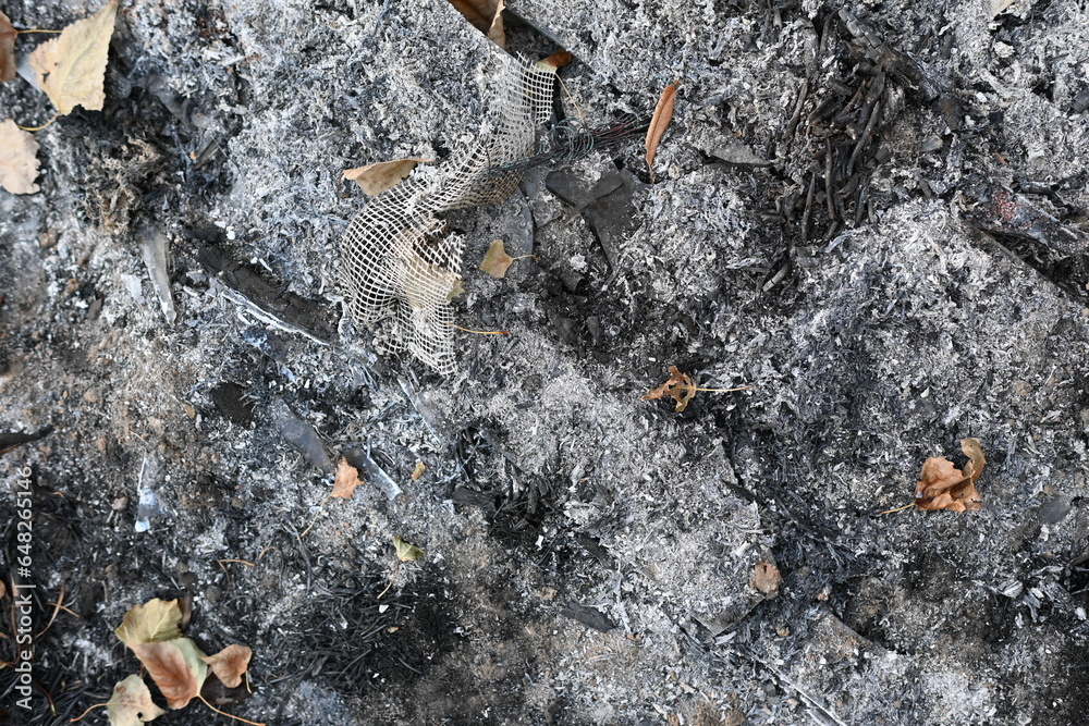 black scorched field as a background, scorched earth, the aftermath of a meadow fire black scorched field as a background, scorched earth, the aftermath of a meadow fire
