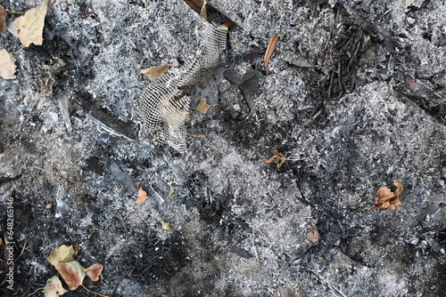 Bild auf Leinwand black scorched field as a background, scorched earth, the aftermath of a meadow