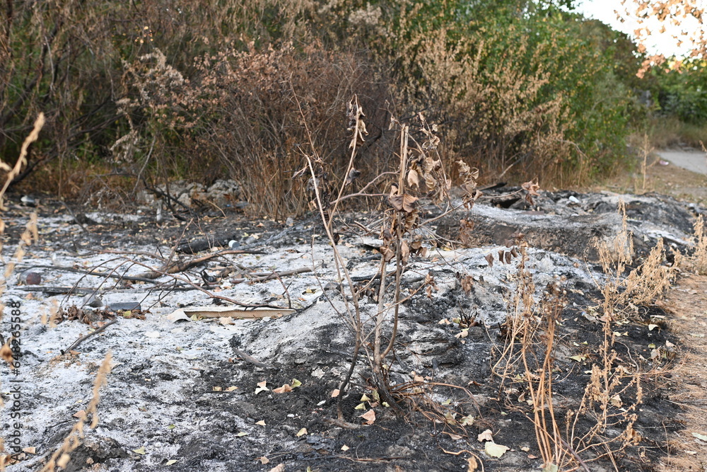 Fire fields, scorched earth, the aftermath of a meadow fire Fire fields, scorched earth, the aftermath of a meadow fire