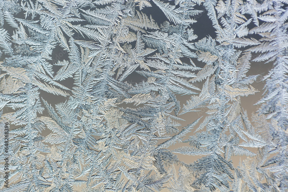 Frost Patterns Are Captured On A Frosted Window Pane In The Early Morning On Vancouver Island; Duncan, British Columbia, Canada Frost Patterns Are Captured On A Frosted Window Pane In The Early Morning On Vancouver Island; Duncan, British Columbia, Canada