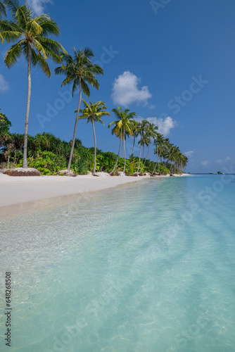 Stunning Maldives island beach. Tropical landscape of summer panorama, calm waves sea white sand with palm trees. Luxury travel vacation destination. Exotic beach scene. Amazing majestic nature, relax