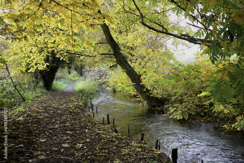 Trees And Path Along A River; Winchester, Hampshire, England