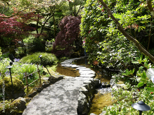 Japanese garden with moss