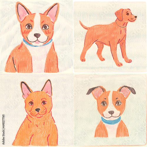 Pet dog and cat drawing