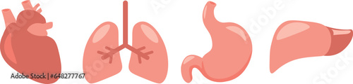 medical illustration of human organs. Set of flat cartoon illustrations liver, lungs, heart, stomach