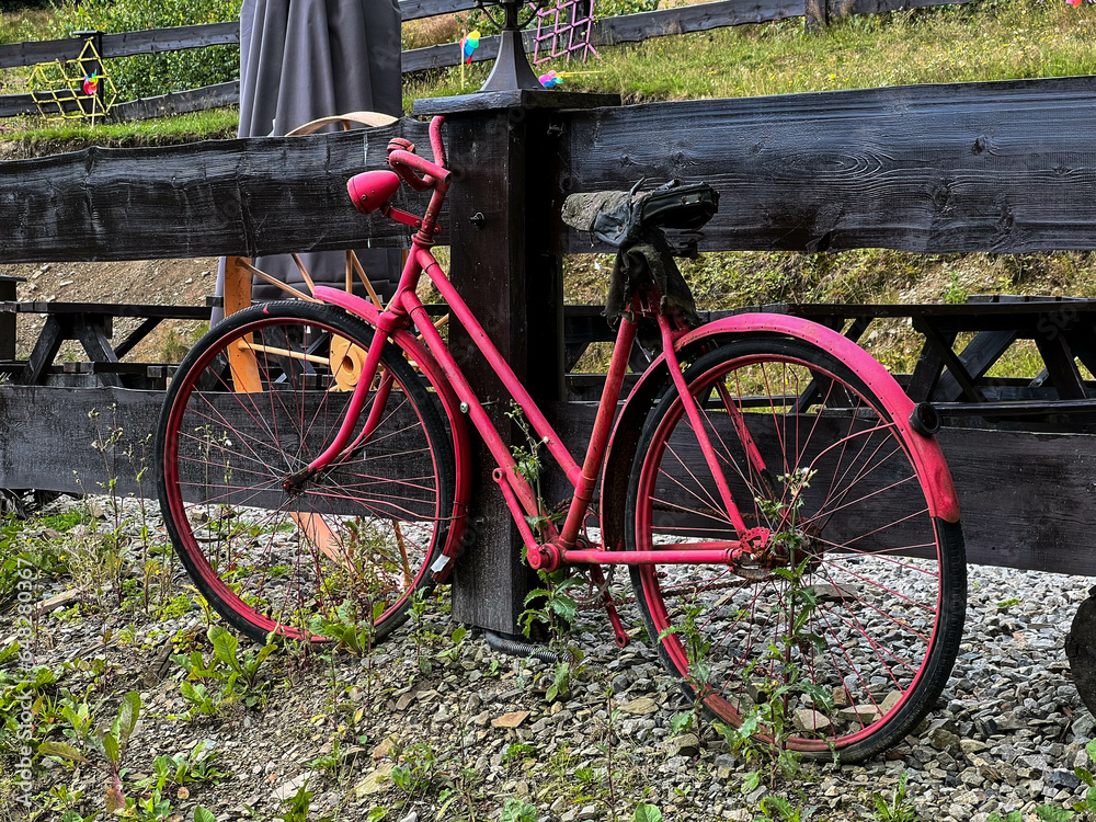 An old bicycle, painted in a bright solid color, stands by the fence as a decorative element