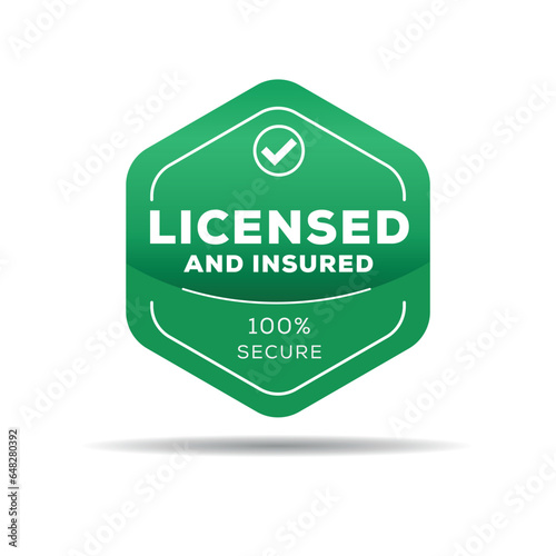 licensed and insured (100% secure), vector illustration.